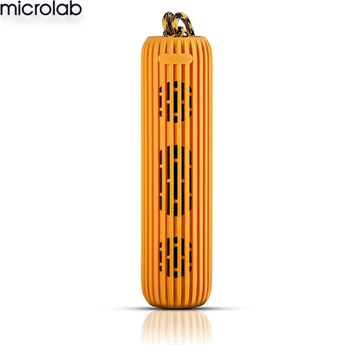 Loa Microlab D21 2